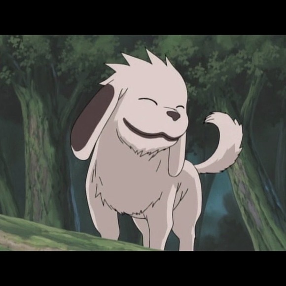 Meet your Posher, Gabriela - Picture 1 of 1